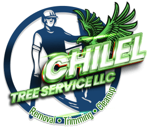 Chilel Tree Service